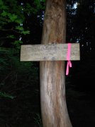 7.25.06 Larch Mountain 022 